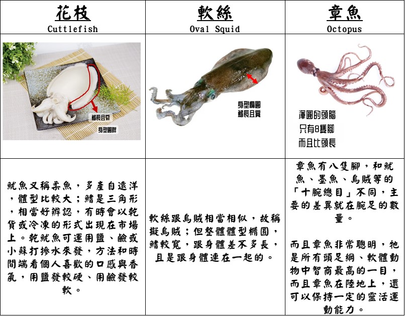 魷魚 透抽 小卷 花枝 軟絲 章魚 | 軟體類圖文對照好Easy - 尚誠國際 San Chen Food