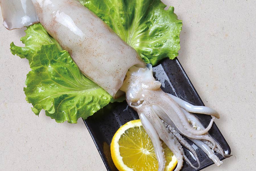 魷魚 Squid - 尚誠國際 San Chen Food